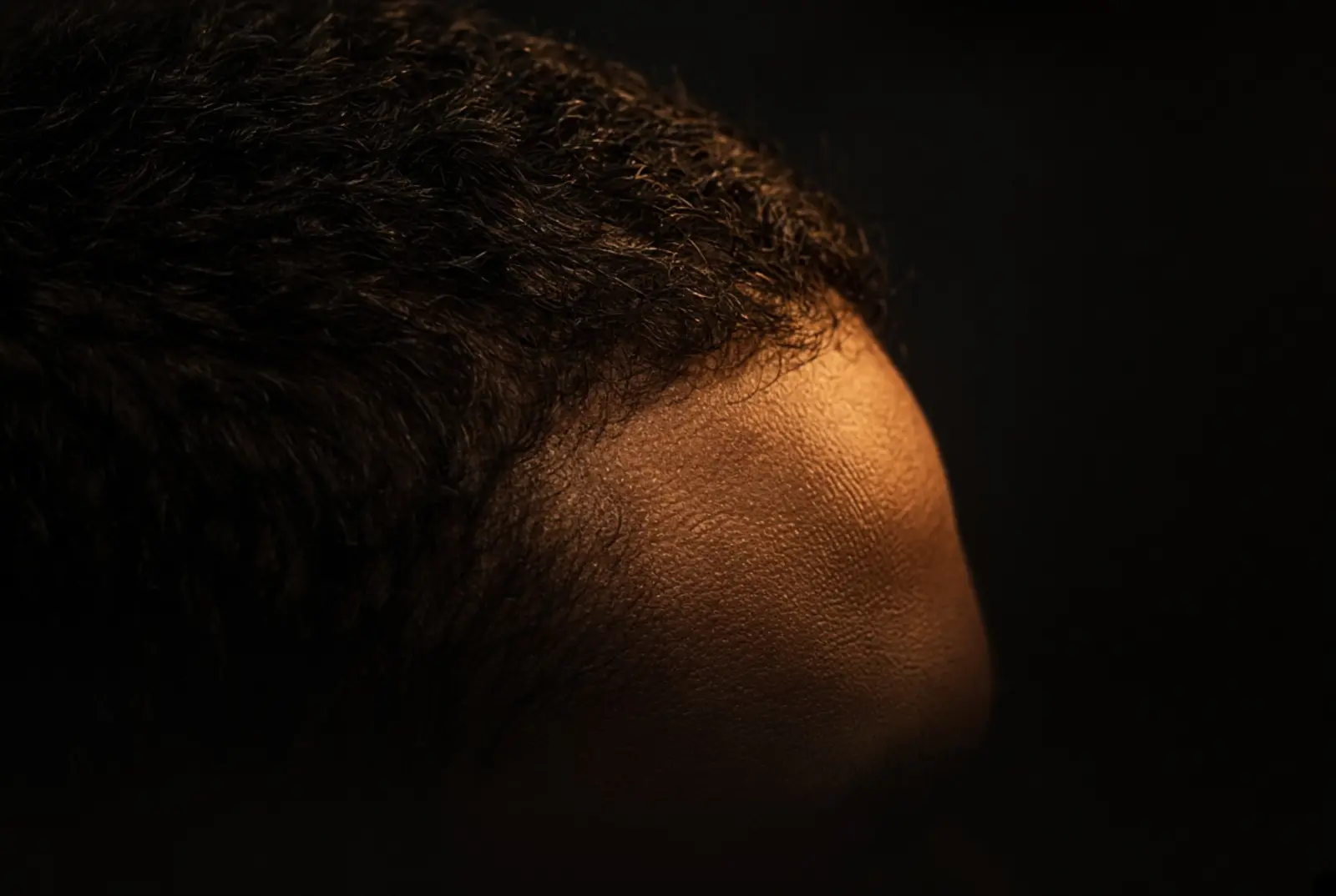 Close-up detail of a hairline in dramatic amber light
